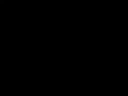 庞博·铁血兄弟情